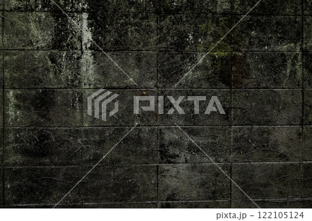 コンクリートブロックの壁に生えた苔 122105124