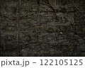 コンクリート壁に残る蔦と枯れ葉 122105125