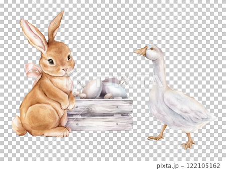 Cute watercolor illustration wooden box with chicken and quail eggs and willow branches and Easter bunny or hare with bow and and goose. Hand drawn illustration isolated on background for card 122105162