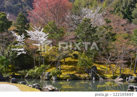 京都　天龍寺　春の庭園 122105697