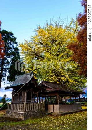 津留年之神社とイチョウ『津留年之神社（つるのしのかみしゃ）』 122105718