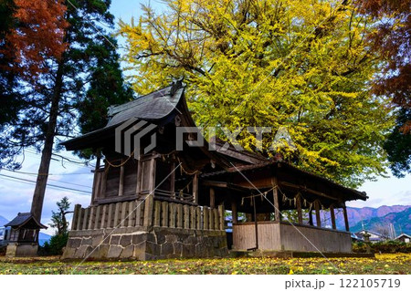 津留年之神社とイチョウ『津留年之神社（つるのしのかみしゃ）』 122105719