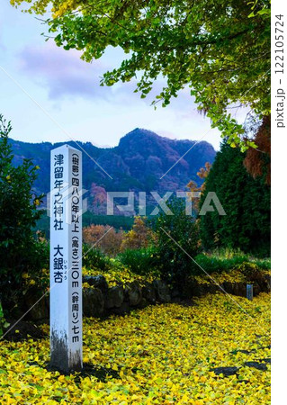 津留年之神社とイチョウ『津留年之神社（つるのしのかみしゃ）』 122105724