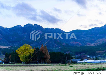 津留年之神社とイチョウ『津留年之神社（つるのしのかみしゃ）』 122105725