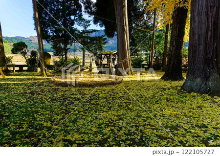 津留年之神社とイチョウ『津留年之神社（つるのしのかみしゃ）』 122105727