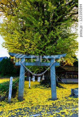津留年之神社とイチョウ『津留年之神社(つるのしのかみしゃ)』 津留年之神社とイチョウ『津留年之神社(つるのしのかみしゃ)』 122105844