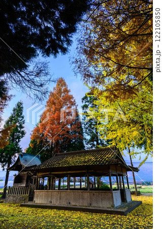 津留年之神社とイチョウ『津留年之神社(つるのしのかみしゃ)』 津留年之神社とイチョウ『津留年之神社(つるのしのかみしゃ)』 122105850