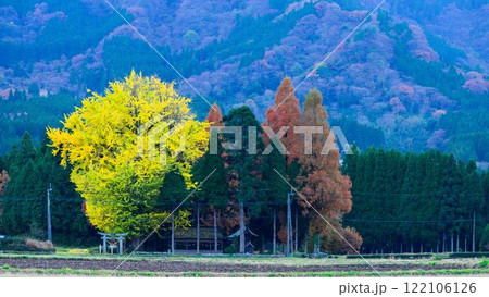 山並みを背景に秋景色 津留年之神社とイチョウ『津留年之神社(つるのしのかみしゃ)』 山並みを背景に秋景色 津留年之神社とイチョウ『津留年之神社(つるのしのかみしゃ)』 122106126