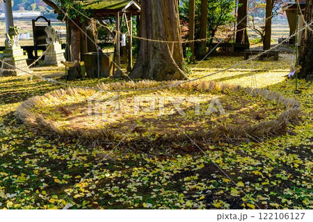 秋晴れ光芒と境内風景 津留年之神社とイチョウ『津留年之神社(つるのしのかみしゃ)』 秋晴れ光芒と境内風景 津留年之神社とイチョウ『津留年之神社(つるのしのかみしゃ)』 122106127