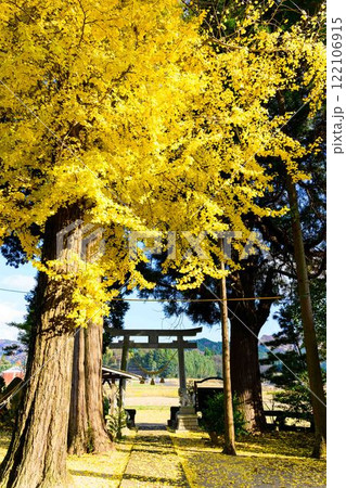 秋晴れ光芒と神社の秋景色風景 八面社(はちめんしゃ) / 市下神社(南阿蘇村) 秋晴れ光芒と神社の秋景色風景 八面社(はちめんしゃ) / 市下神社(南阿蘇村) 122106915