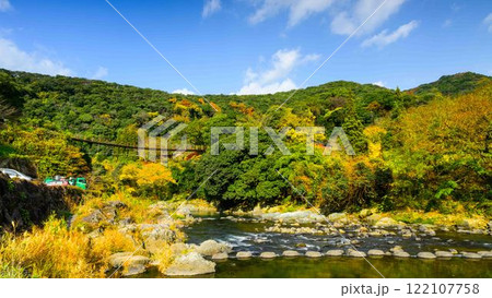 吊橋と川パノラマ風景　秋の紅葉スポット・キャンプ場　行楽地スポット　立神峡(八代郡氷川町) 122107758
