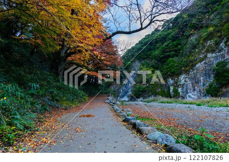 遊歩道周辺風景　秋の紅葉スポット・キャンプ場　行楽地スポット　立神峡(八代郡氷川町) 122107826