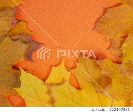 Beautiful bright orange autumn leaf background 122107981