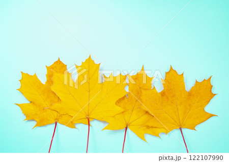 Beautiful bright orange autumn leaves on the blue background space for text Beautiful bright orange autumn leaves on the blue background space for text 122107990