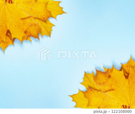 Beautiful bright orange autumn leaf on the blue background space for text Beautiful bright orange autumn leaf on the blue background space for text 122108000