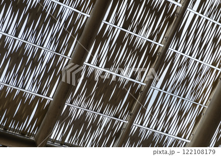 Decorative metal ceiling or roof structure featuring an intricate, crisscross pattern of thin metallic strips Decorative metal ceiling or roof structure featuring an intricate, crisscross pattern of thin metallic strips 122108179