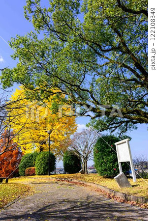 秋晴れ光芒に映えるイチョウの木と公園風景 木山城跡公園(益城町) 秋晴れ光芒に映えるイチョウの木と公園風景 木山城跡公園(益城町) 122108349
