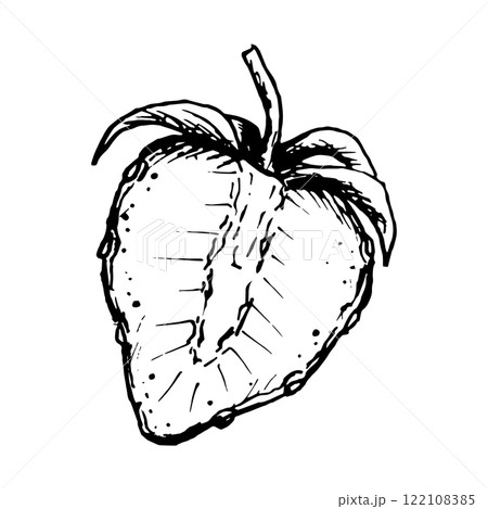 Hand drawn black and white vector illustration of ripe strawberries cut in half. Created with liner, this work is perfect for packaging, menus, farm products, valentines, recipes and digital projects 122108385