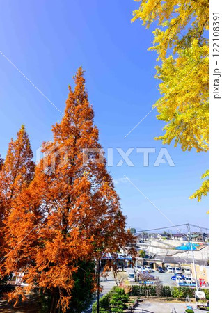 秋晴れ光芒に映える紅葉風景と街並み風景　木山城跡公園(益城町) 122108391