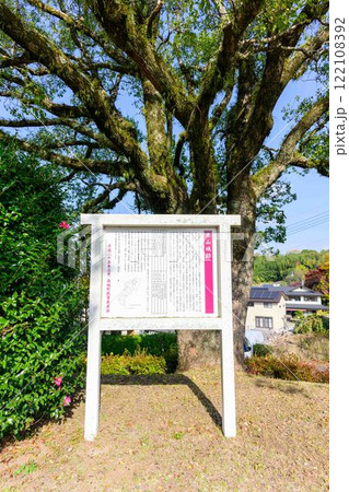 秋晴れ光芒に映える看板 木山城跡公園(益城町) 秋晴れ光芒に映える看板 木山城跡公園(益城町) 122108392