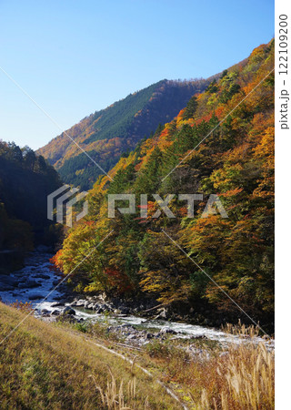国道257号線「かおれ大橋」からの紅葉（岐阜県下呂市・馬瀬川） 122109200