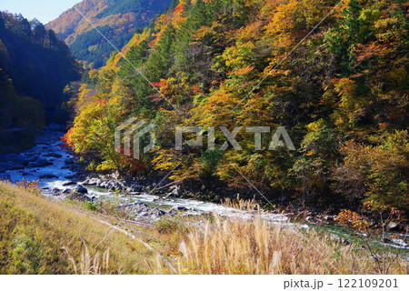 国道257号線「かおれ大橋」からの紅葉(岐阜県下呂市・馬瀬川) 国道257号線「かおれ大橋」からの紅葉(岐阜県下呂市・馬瀬川) 122109201