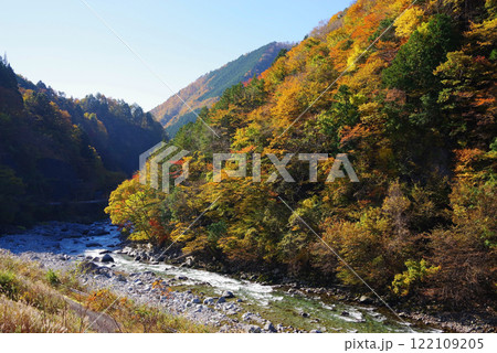 国道257号線「かおれ大橋」からの紅葉（岐阜県下呂市・馬瀬川） 122109205