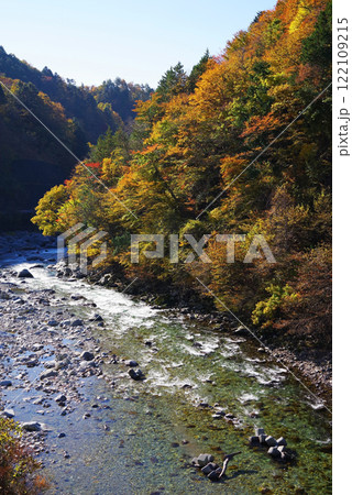 国道257号線「かおれ大橋」からの紅葉（岐阜県下呂市・馬瀬川） 122109215