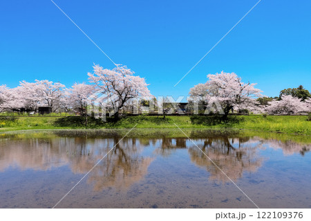 水鏡に写る桜と小湊鉄道飯給駅 水鏡に写る桜と小湊鉄道飯給駅 122109376