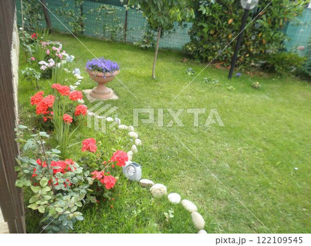 first flowers on the lawn near the house 122109545