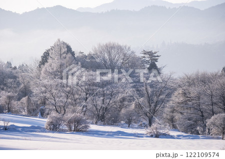 里山に降りた霜（蒜山高原） 122109574