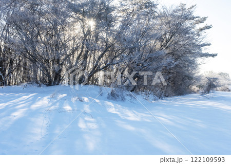 里山に降りた霜（蒜山高原） 122109593