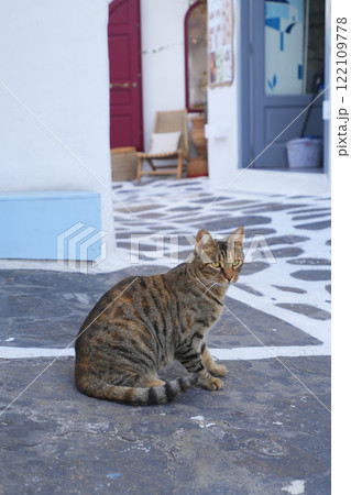 ギリシアのネコ 122109778