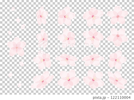 A set of simple illustrations of spring cherry blossom scenery that can be used as backgrounds 122110004