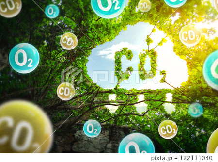 Concept depicting the issue of carbon dioxide emissions and its impact on nature in the form shape of a co2 symbol located in a lush forest. Reduce CO2 emission concept. oxygen O2 molecules. Concept depicting the issue of carbon dioxide emissions and its impact on nature in the form shape of a co2 symbol located in a lush forest. Reduce CO2 emission concept. oxygen O2 molecules. 122111030