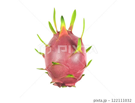 Dragon fruit, pitaya isolated on white background, clipping path included. Fresh organic dragon fruit from the garden on white background, creative summer food concept. full depth of field. 122111032