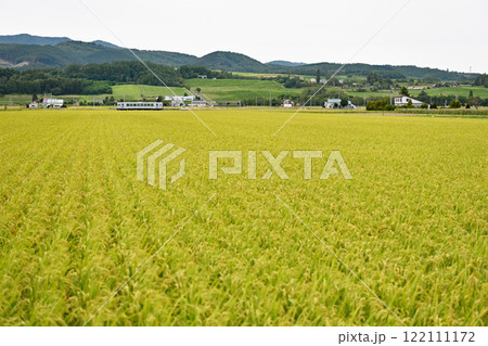 実りの秋を迎えた田園風景 122111172
