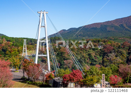 九重“夢”大吊橋と紅葉 122111468
