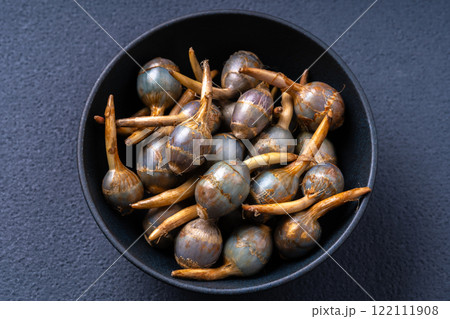 くわい くわい 122111908