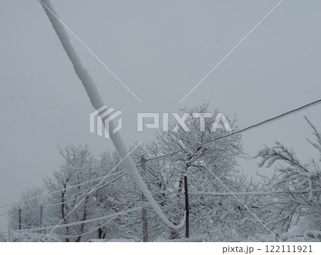 consequences of snow storm in the form of snow sticking to wires, sticky snow on an electrical sagging cable against the background of snow-covered trees after a snowfall on a cloudy day 122111921