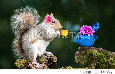 Cute squirrel with a flower on its ear enjoying a magical tea moment 122112995