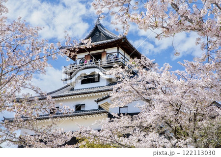 犬山市、国宝犬山城と満開の桜 122113030