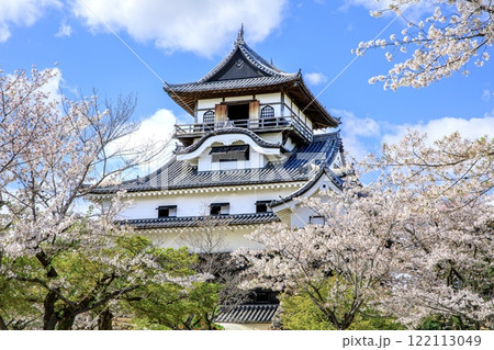 犬山市、国宝犬山城と満開の桜 犬山市、国宝犬山城と満開の桜 122113049