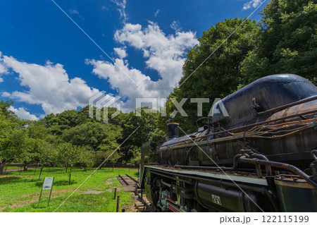 小金井公園　晴天の青空と緑の景色 (2023年夏)-26 122115199