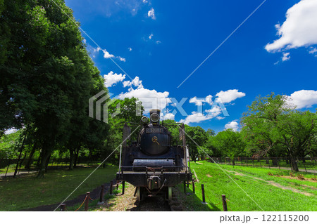 小金井公園　晴天の青空と緑の景色 (2023年夏)-25 122115200