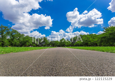 小金井公園 晴天の青空と緑の景色 (2023年夏)-39 小金井公園 晴天の青空と緑の景色 (2023年夏)-39 122115229