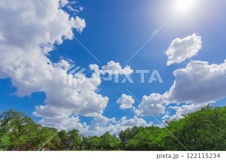 小金井公園 晴天の青空と緑の景色 (2023年夏)-34 小金井公園 晴天の青空と緑の景色 (2023年夏)-34 122115234