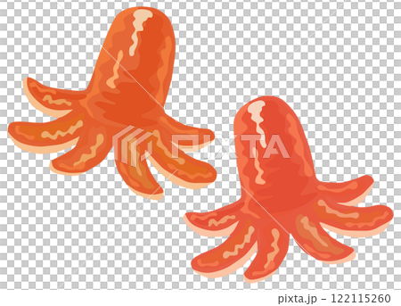 Octopus Wiener illustration vector material 122115260