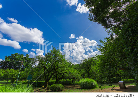 江戸東京たてもの園 (2023年夏)-8 江戸東京たてもの園 (2023年夏)-8 122115297