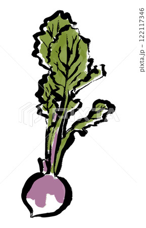 単体の紫蕪の墨筆を使った和風手描きカラーイラスト 122117346